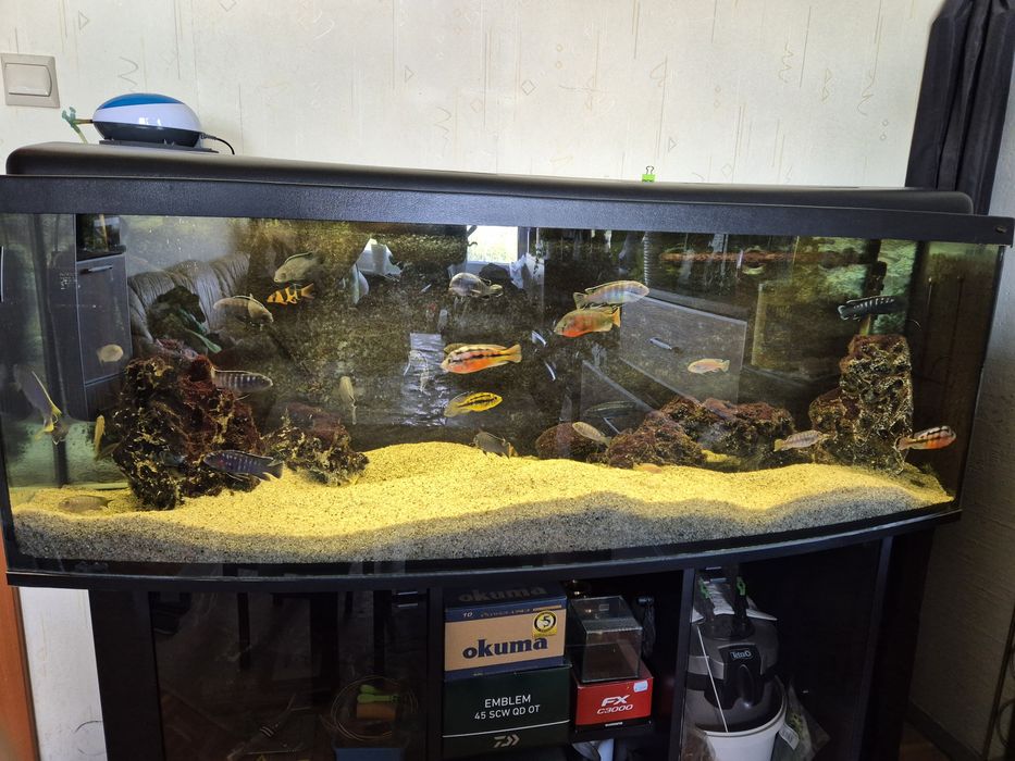 Akwarium 450 litrów + szafka + skały + filtry+ ryby