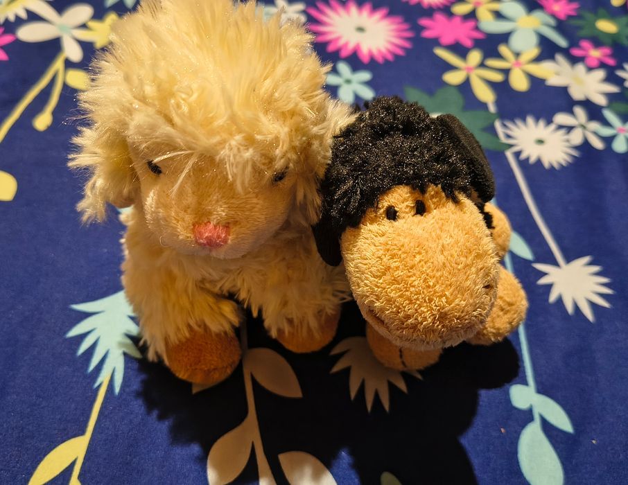 Maskotki pluszaki owieczki NICI