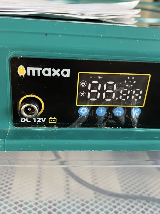 Інкубатор. Птаха