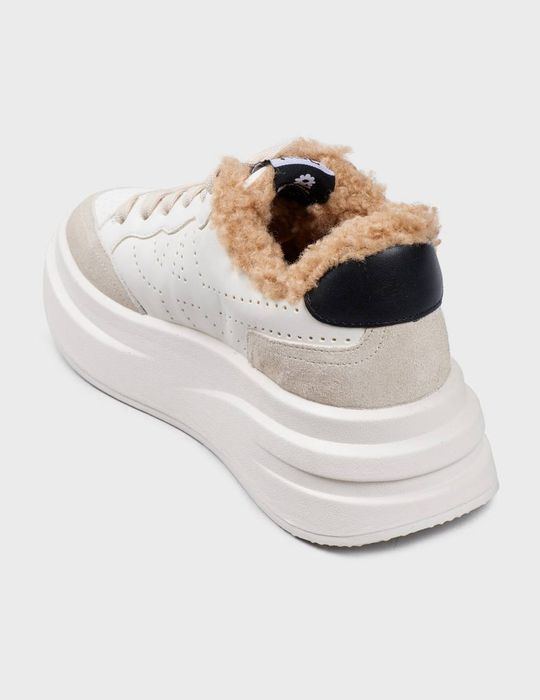 Ash зимові кросівки жіночі