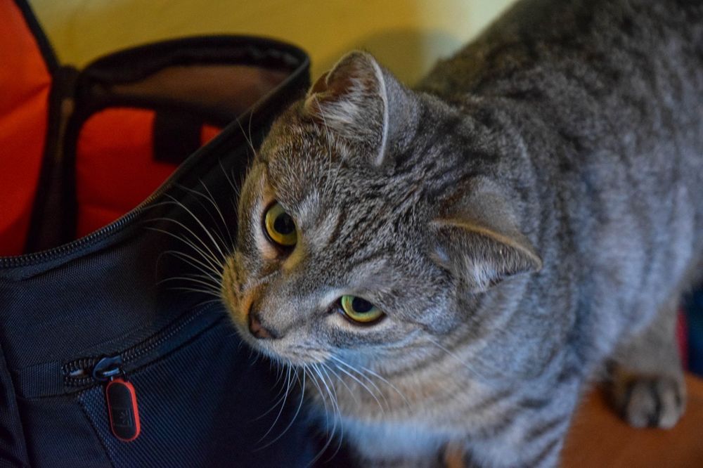 Przytulasek cudowny chłopak około trzech lat