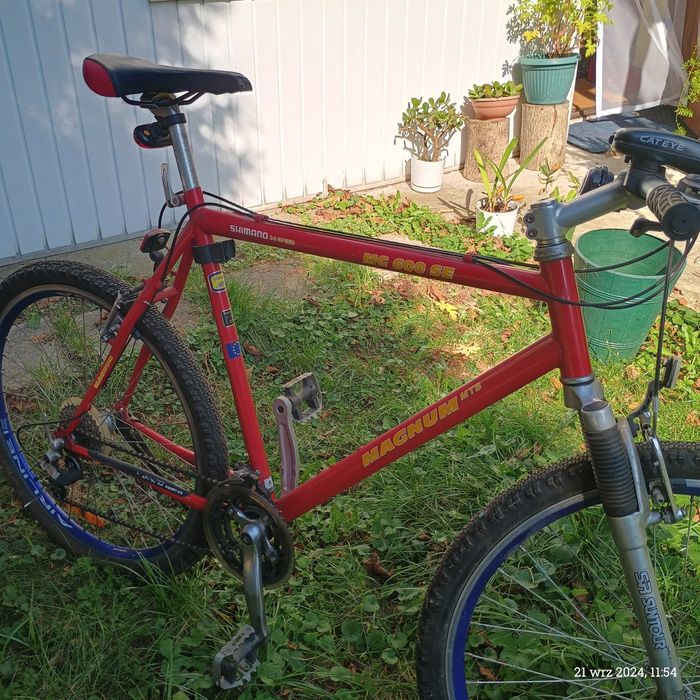 Rower męski "Magnum"