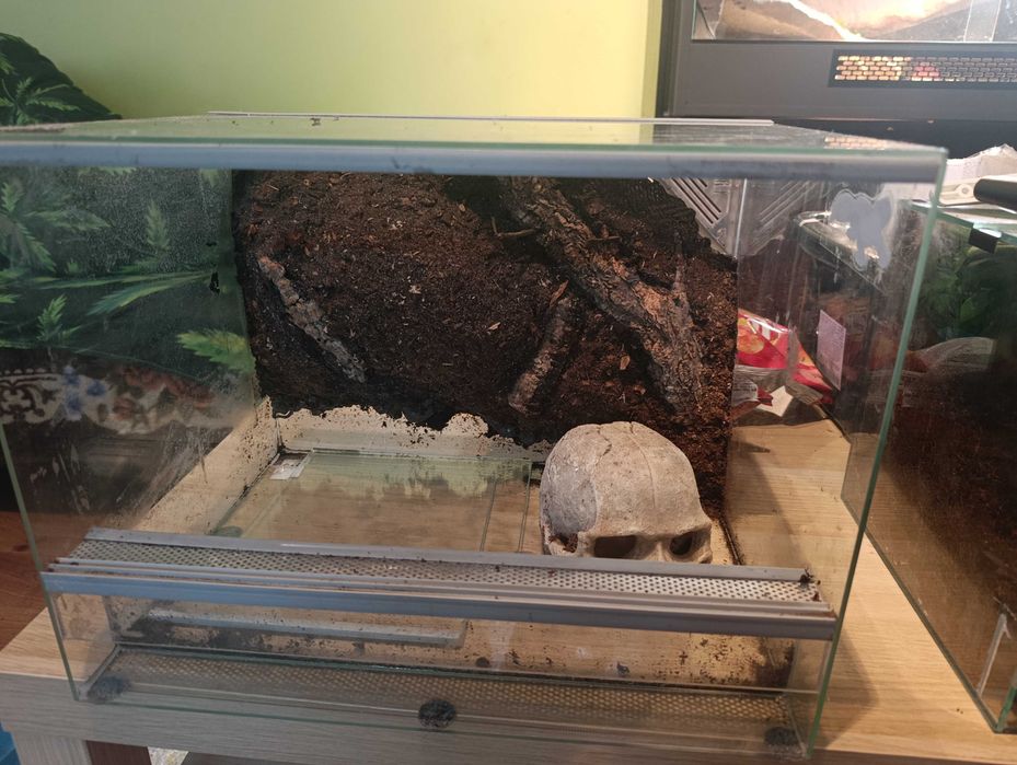 Terrarium 40x30x30