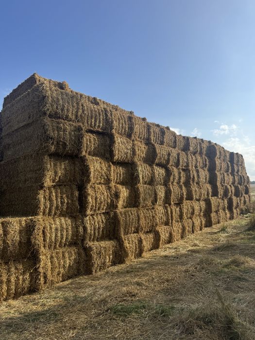 Kostka słoma 120x265x90