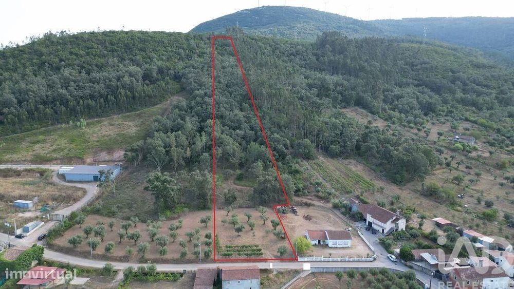 Terreno para construção em São Miguel, Santa Eufémia e Rabaçal