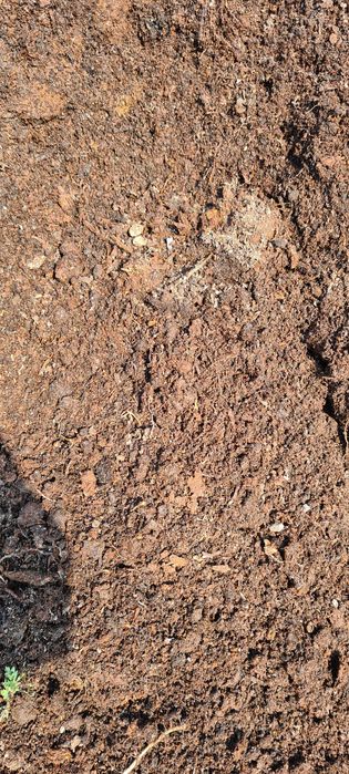 Ziemia ogrodowa, Czarnoziem, Ziemia pod trawnik