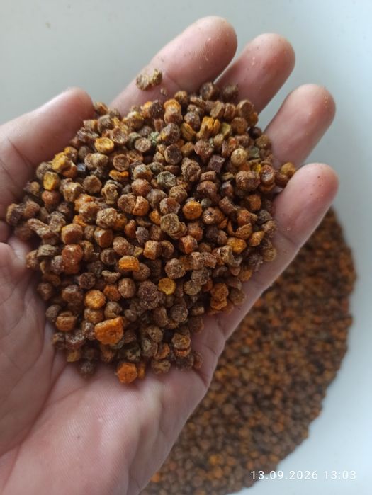 Продам свіжу пергу (дрібна фракція)
