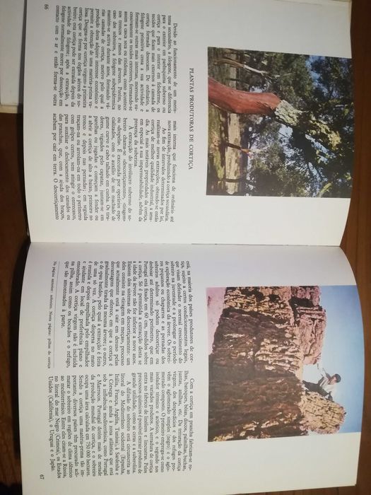 2 livros - O mundo das plantas