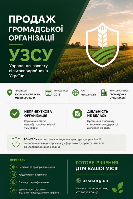 Продаж Громадська організація 2018 року, ГО - неприбуткова установа