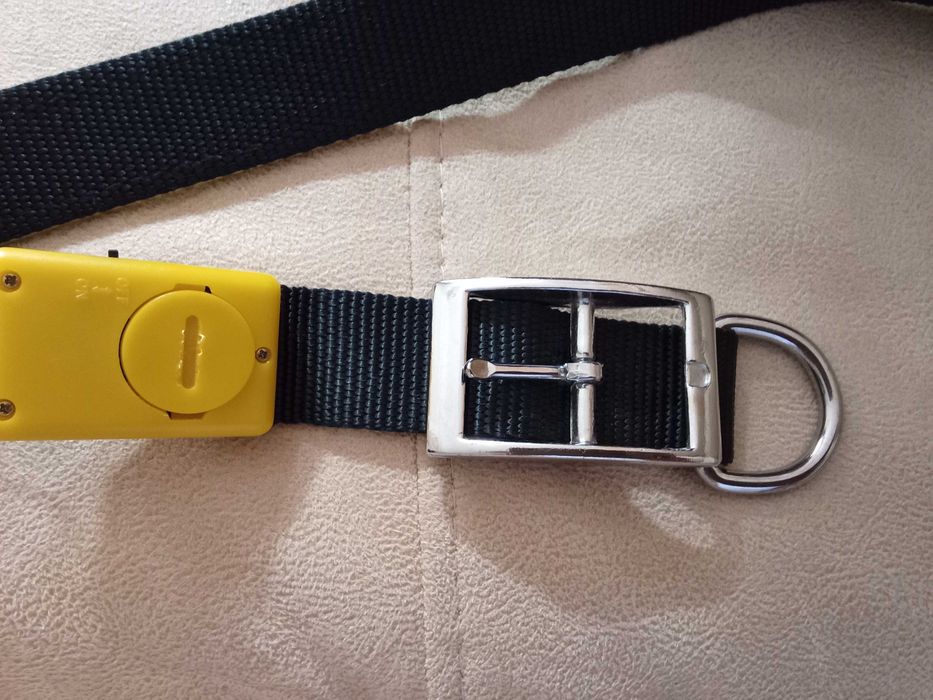 Ошейник светящийся