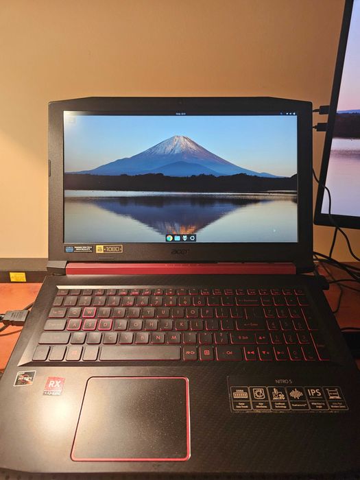 Acer Nitro 5 Ryzen 5 2500U + RX 560X, 8 GB RAM, SSD