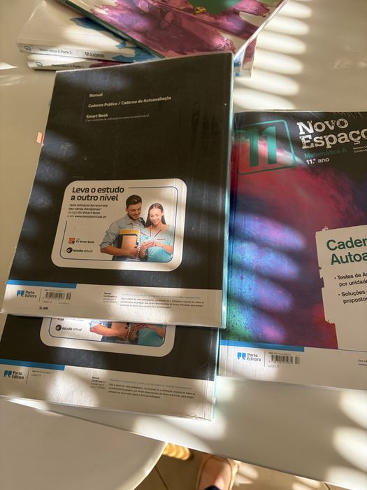 Manual e caderno de atividades 11 ano