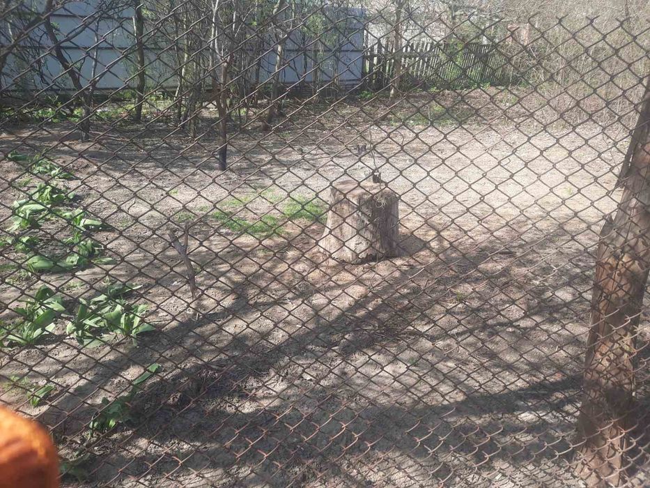 Сітка рабиця 5мм.