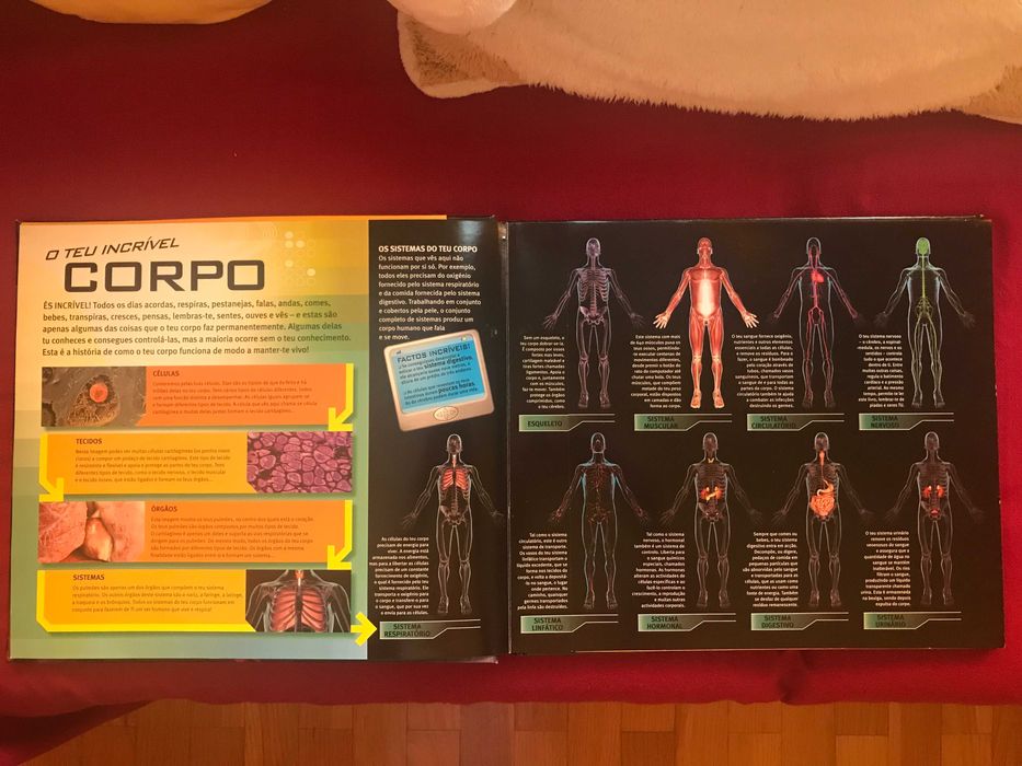 Livro sobre o Corpo Humano