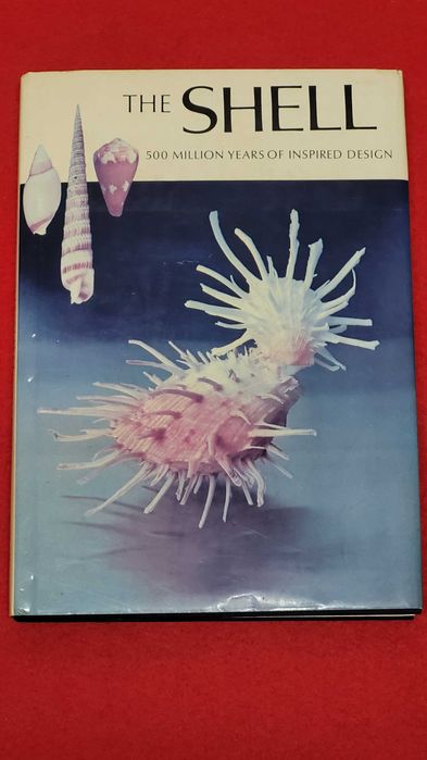 The Shells-500 Million years of inspired design