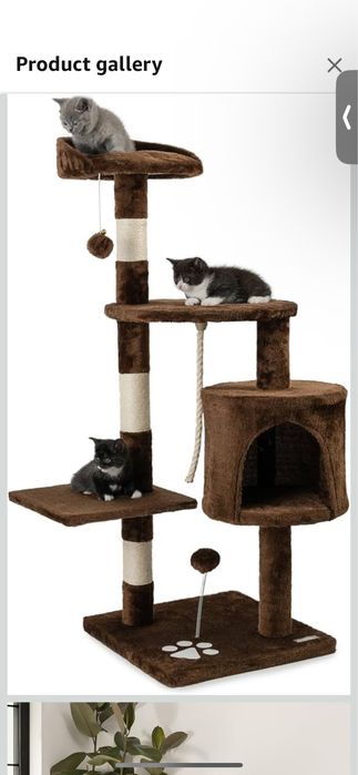 Arvore castanha para 2 gatos