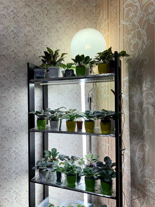 Койко-места (общежитие ) на Троещине, пр Червоної Калини