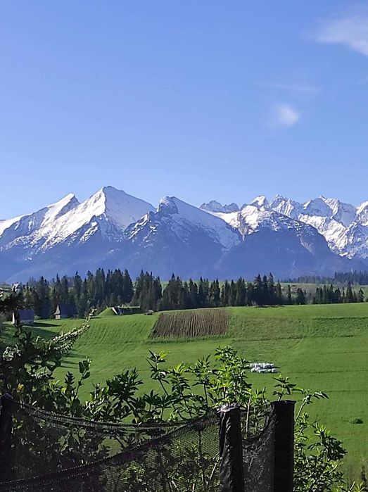 Noclegi Bukowina Tatrzańska !