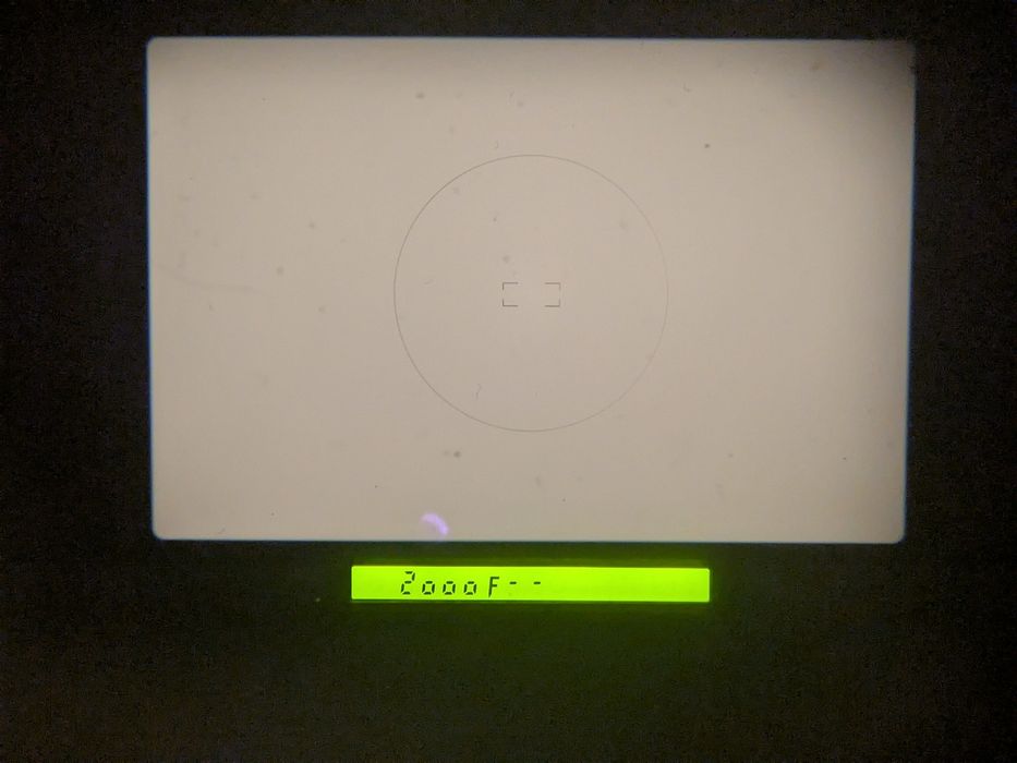 Nikon F50 w pełni sprawny