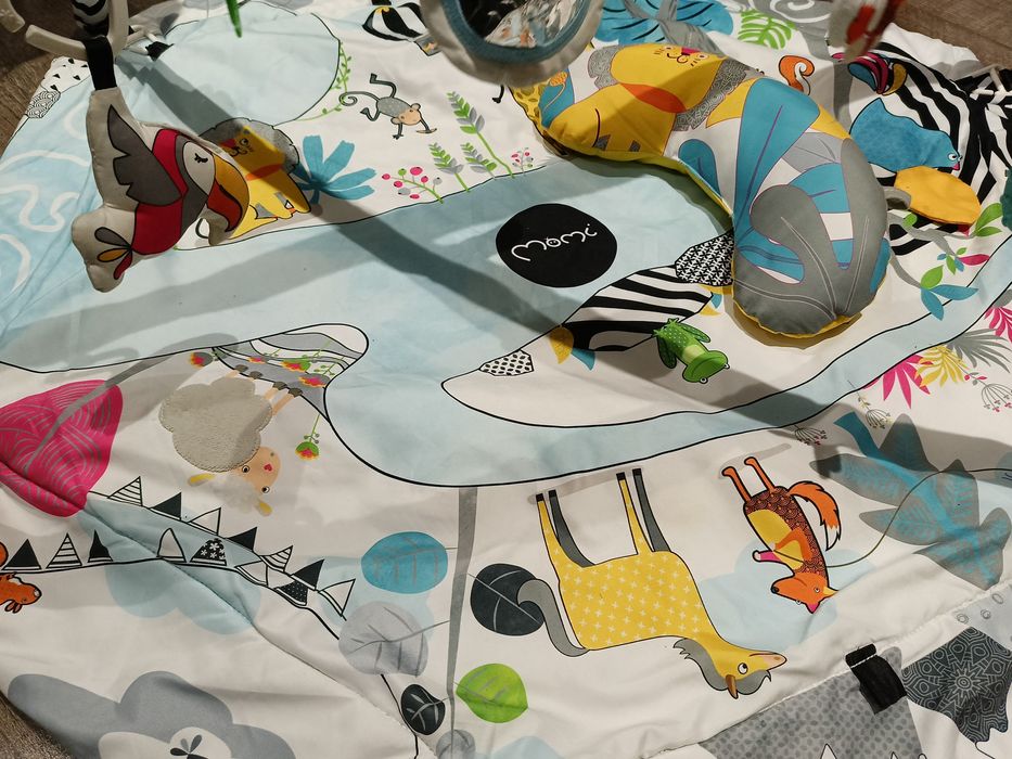 Mata edukacyjna Momi