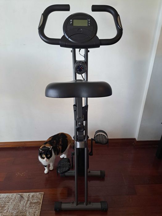 Bicicleta Estática Dobrável Skandika X-1000