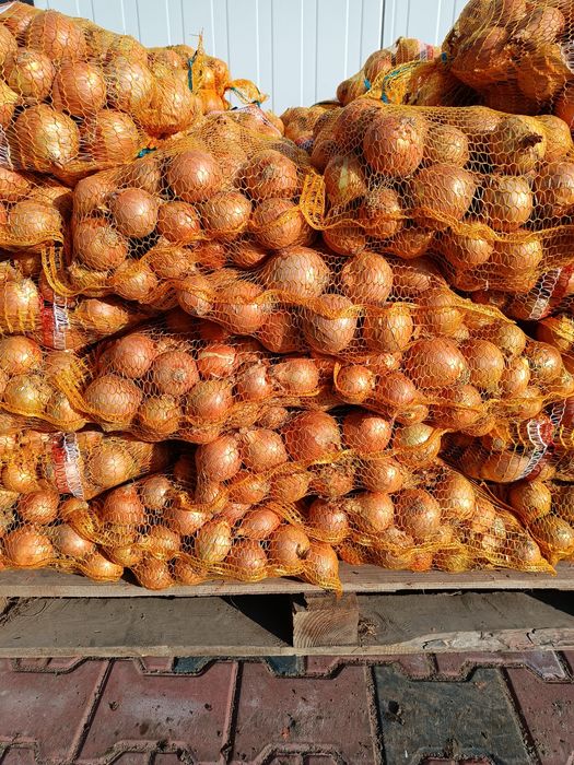 Sprzedam marchew ziemniaki cebule