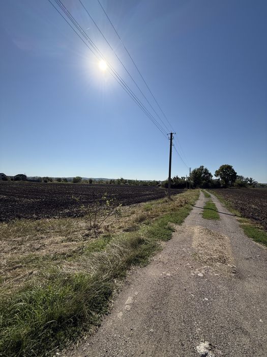 Продаж земельної ділянки с. Мошни (30 соток)