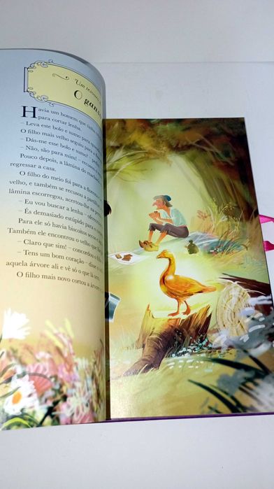 Um Tesouro de Conto de Fadas