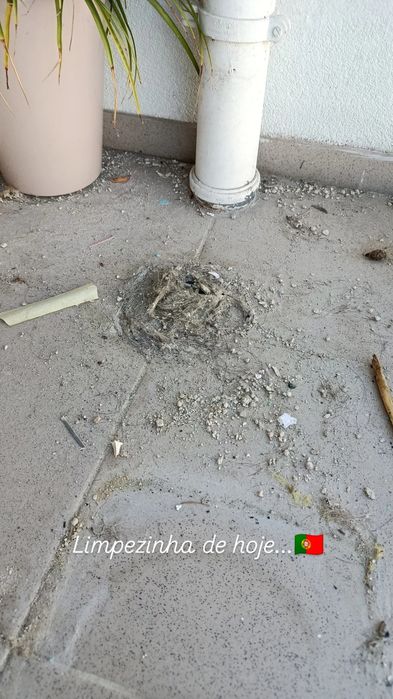 Limpeza Profissional