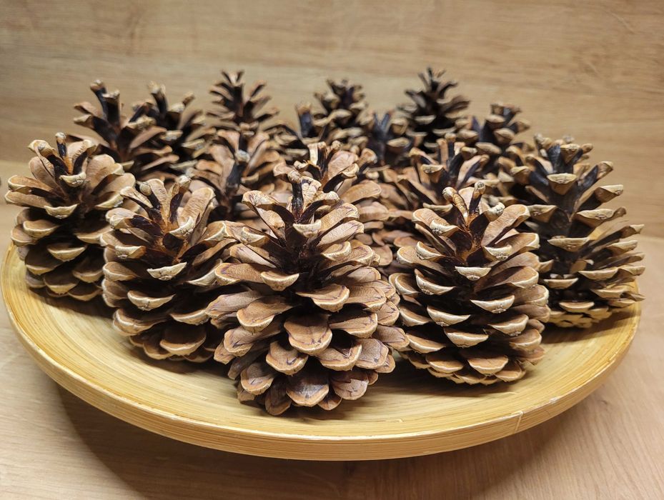 szyszki żołędzie do stroików wieńców ozdoby