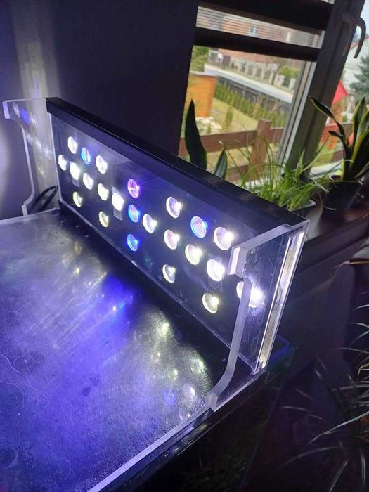Akwarium optiwhite 38x40x40 60L wraz z całym życiem