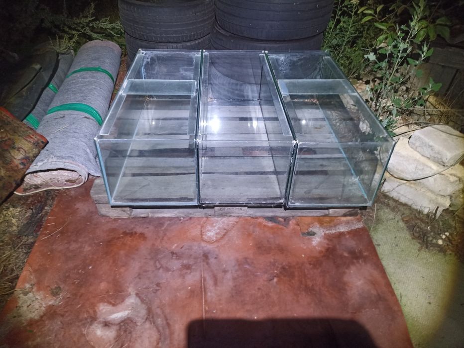 Акваріум великий