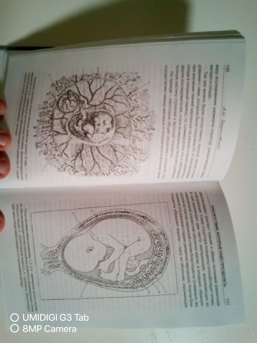 Психология и психоанализ беременности хрестоматия бахрах-м 2013