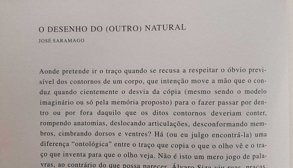 Siza - O que a Luz ao cair deixa nas coisas
