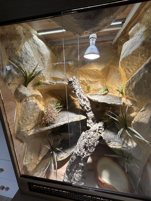 Duże terrarium 85 × 60 × 52,5 cm – kompletne wnętrze