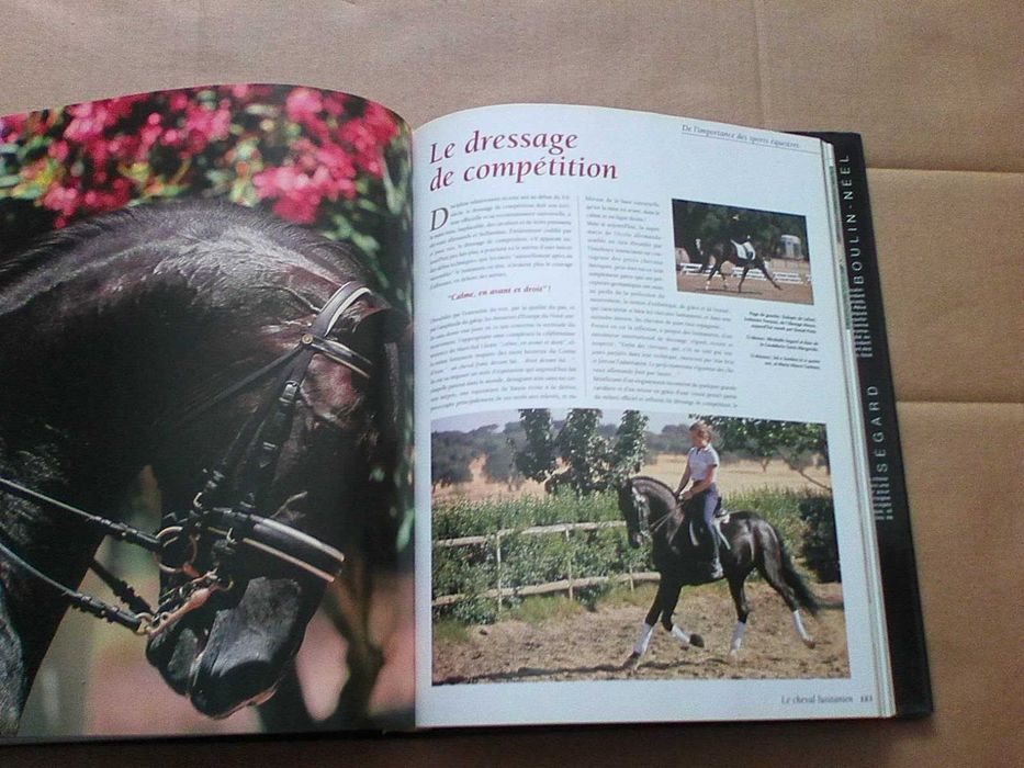 Le Cheval Lusitanien ; Elevage Et Traditions Equestres Au Portugal