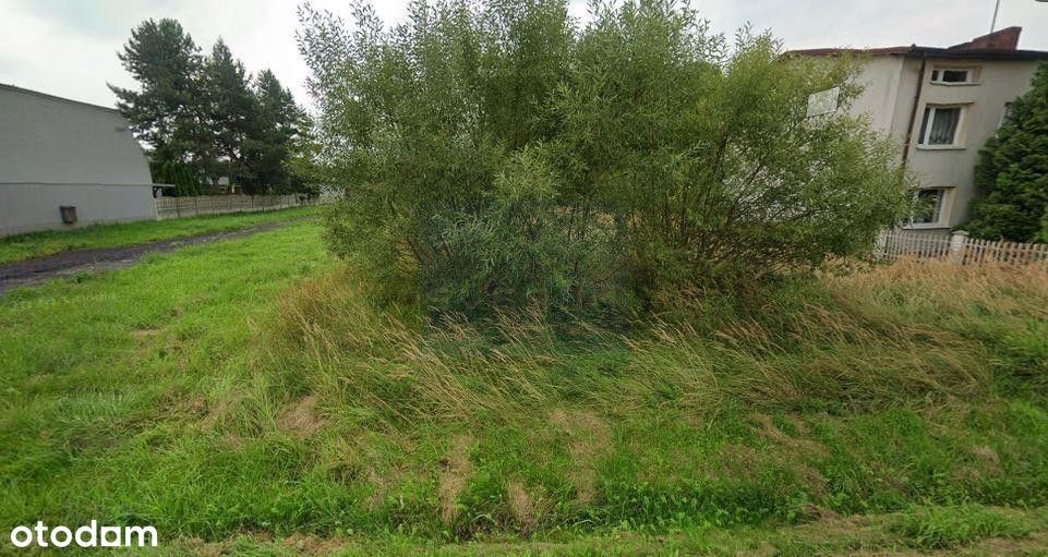 Zdjęcie 3