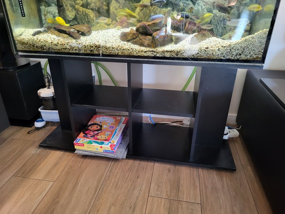 Akwarium 250l z pyszczakami