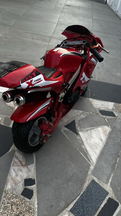 Minimoto de pista a gasolina