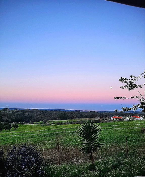 Aluga-se casa no campo