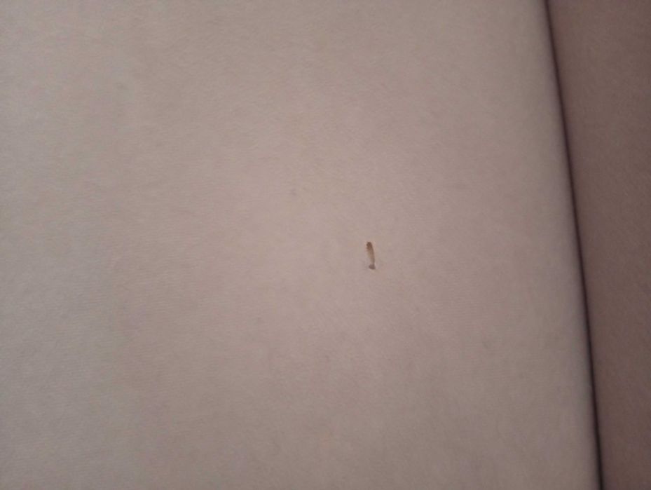 Wersalka. Boki tapicerowane.Ciemny  Beż