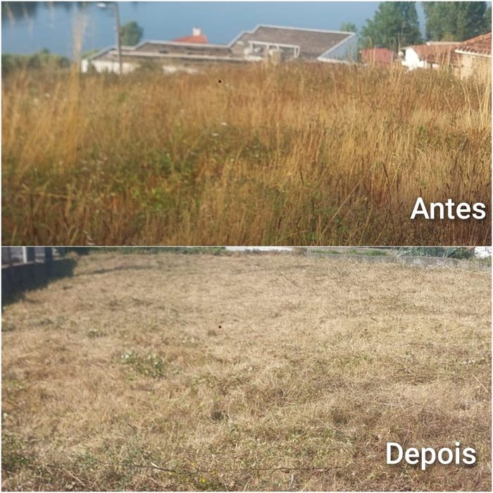 Limpeza de terrenos518238420735764481