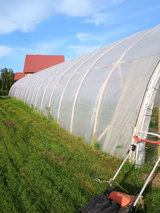 Tunele foliowe 10x33m