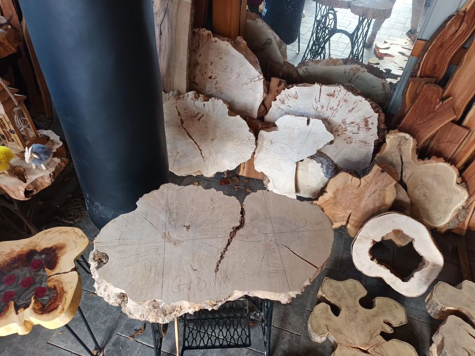Plaster drewna akacja drzewo dąb śliwa Czeczot topola klon plastry hit