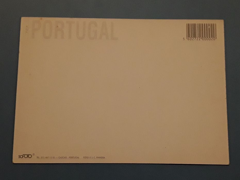 Postal gato à janela