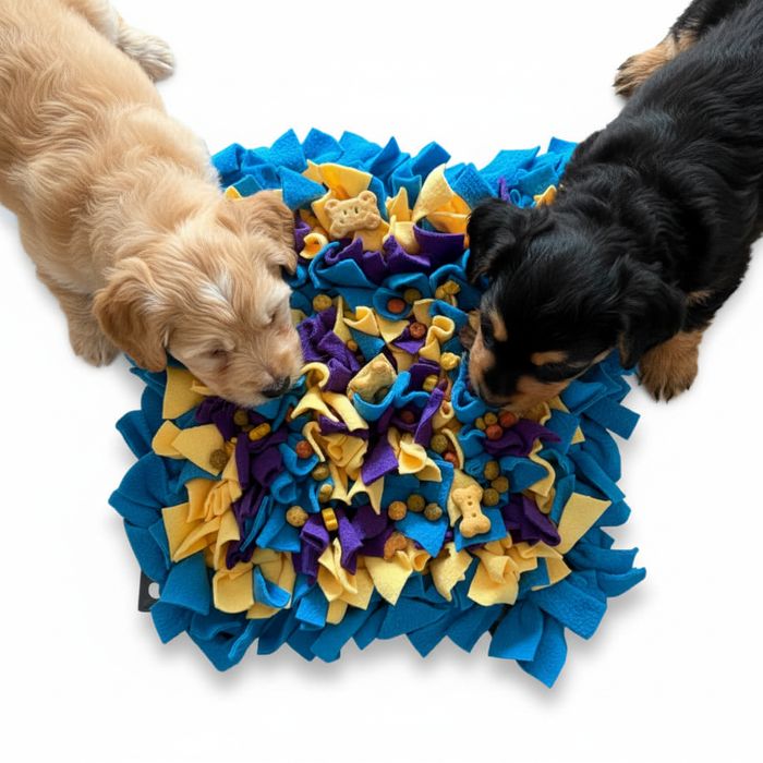 Mata węchowa dla psa duża