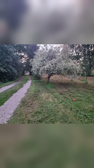 Klimatyczny poniemiecki dom bliźniak na działce 1.3ha, stawem i własnym laskiem