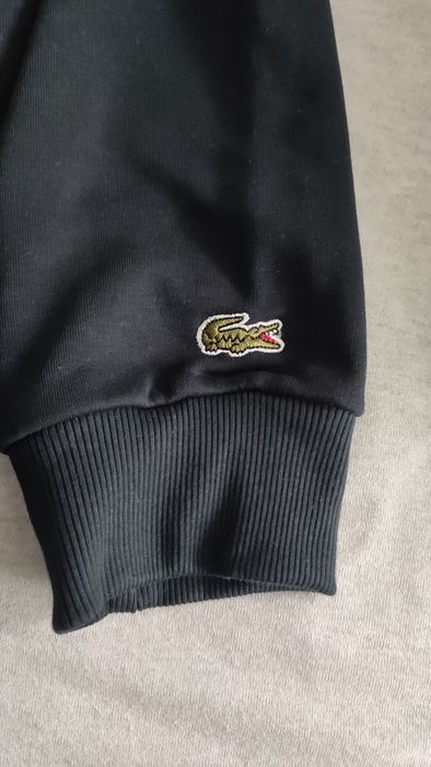 Bluza Lacoste + T-shirt Tommy Hilfiger