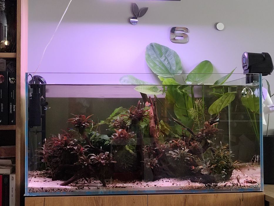 Ultra scaper 90 Aquael 243l i szafka