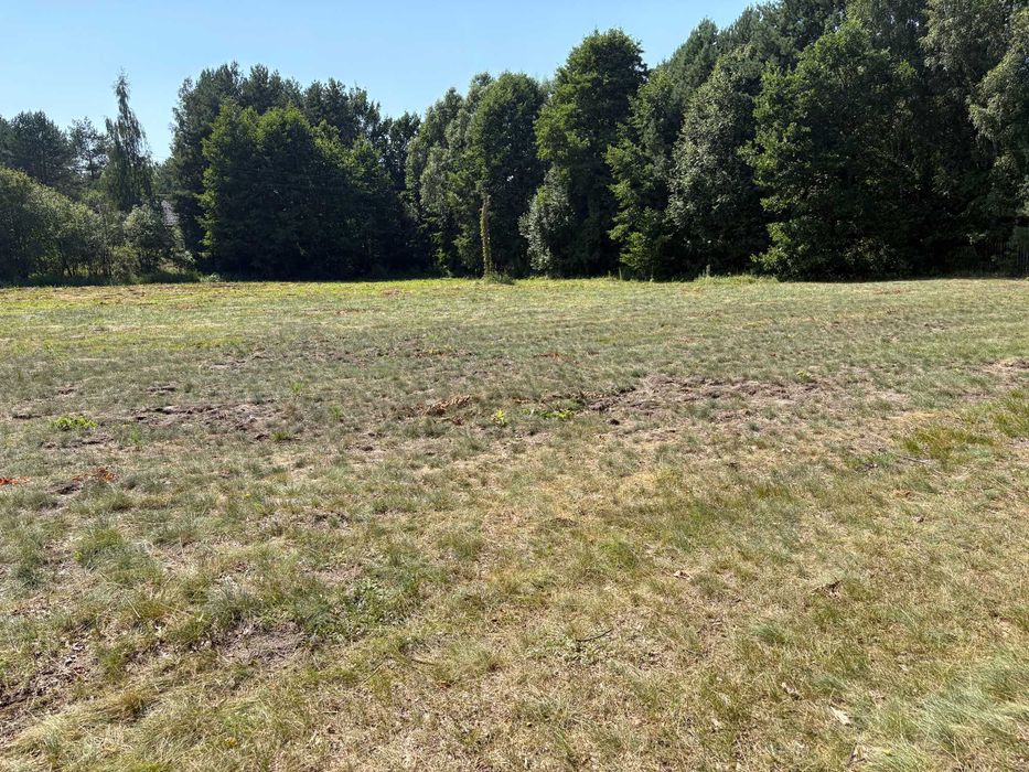 Działka budowlana Arciechów 6500 m2